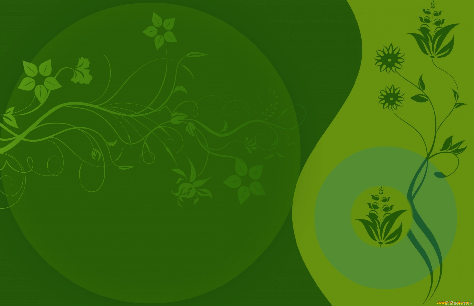  ,  , flowers, , , 